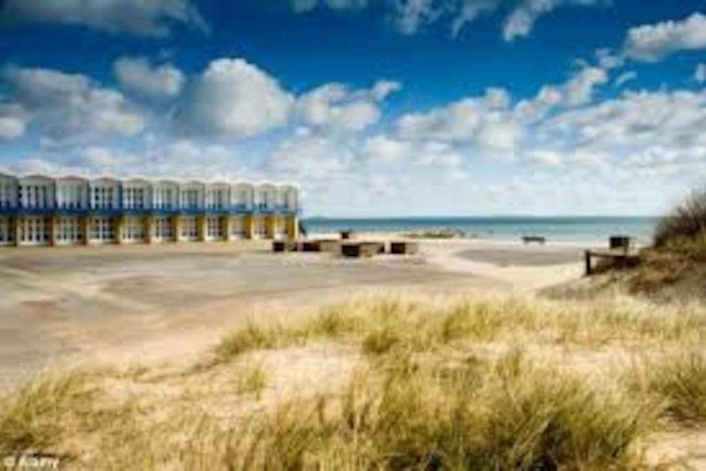 Spacious 5 Large Bedroom Victorian House - Beach 2 Miles Poole Zewnętrze zdjęcie